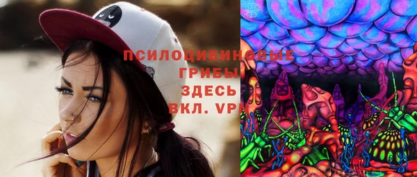 ешки Алексеевка