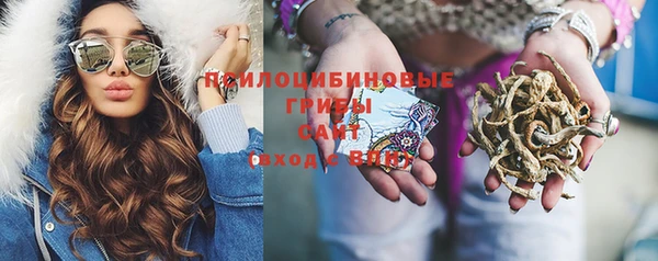 ешки Алексеевка